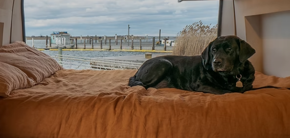 Bedding options in a campervan build | $5.99 | eBook | 96 User Generated Video Clips | Click and Watch